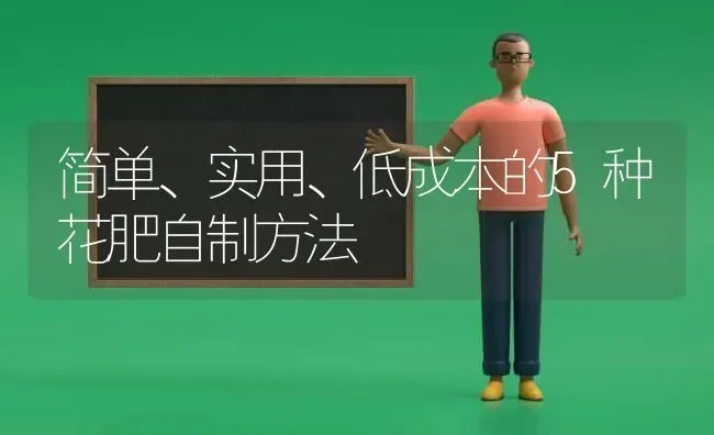 简单、实用、低成本的5种花肥自制方法 | 养殖技术大全