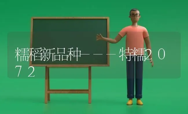 糯稻新品种---特糯2072 | 养殖技术大全