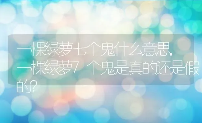 一棵绿萝七个鬼什么意思,一棵绿萝7个鬼是真的还是假的？ | 养殖学堂