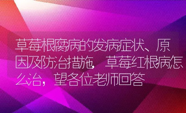 草莓根腐病的发病症状、原因及防治措施,草莓红根病怎么治，望各位老师回答 | 养殖学堂