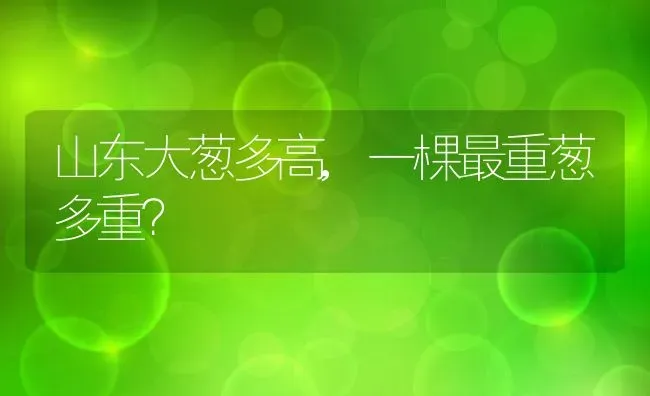 山东大葱多高,一棵最重葱多重？ | 养殖科普