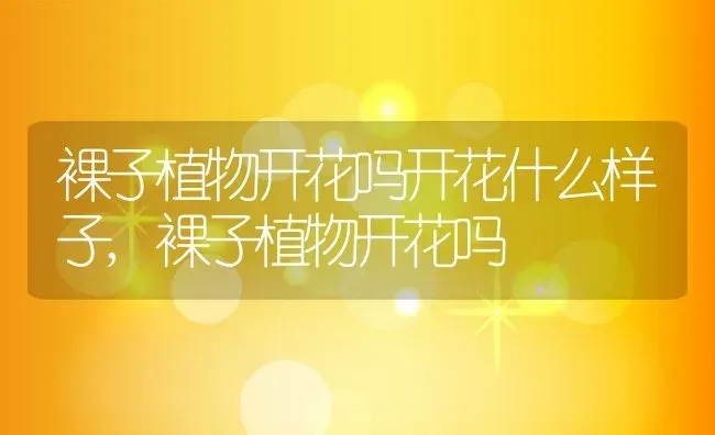 裸子植物开花吗开花什么样子,裸子植物开花吗 | 养殖学堂