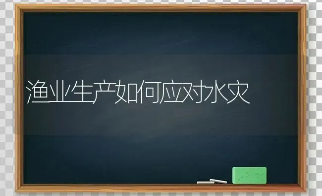 渔业生产如何应对水灾 | 养殖技术大全