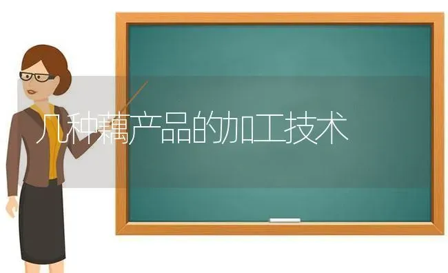 几种藕产品的加工技术 | 养殖技术大全