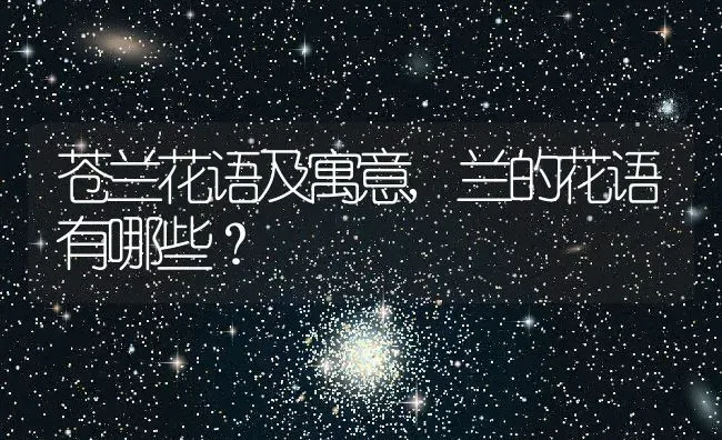 苍兰花语及寓意,兰的花语有哪些？ | 养殖科普