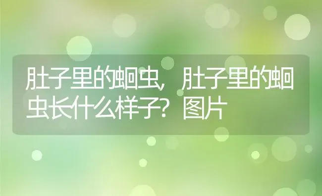 肚子里的蛔虫,肚子里的蛔虫长什么样子?图片 | 养殖科普