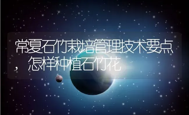 石斛花怎么养殖方法和注意要点,白雪公主石斛怎么养 | 养殖学堂