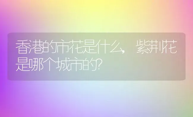 香港的市花是什么,紫荆花是哪个城市的？ | 养殖科普