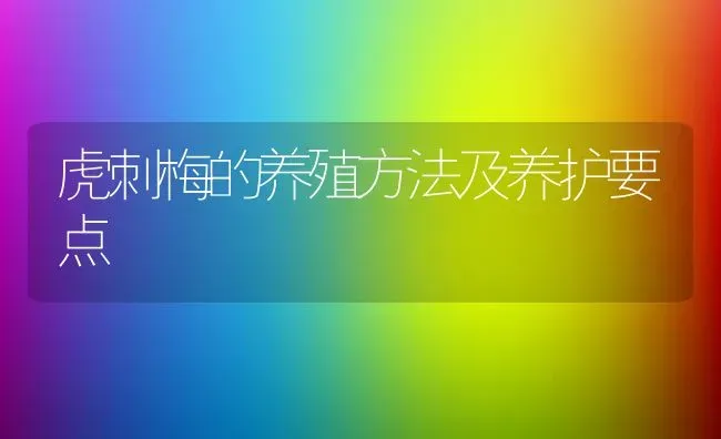 虎刺梅的养殖方法及养护要点 | 养殖学堂