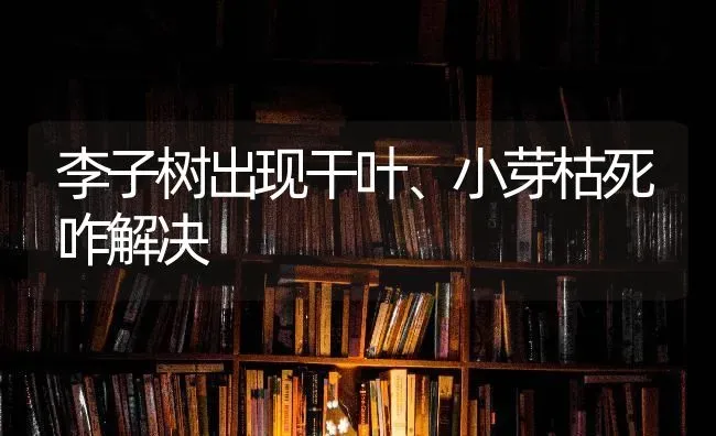 李子树出现干叶、小芽枯死咋解决 | 养殖技术大全