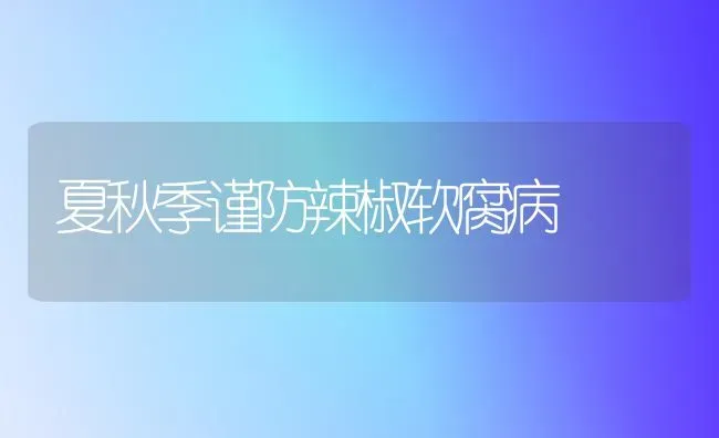 夏秋季谨防辣椒软腐病 | 养殖技术大全