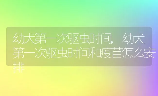 幼犬第一次驱虫时间,幼犬第一次驱虫时间和疫苗怎么安排 | 养殖科普