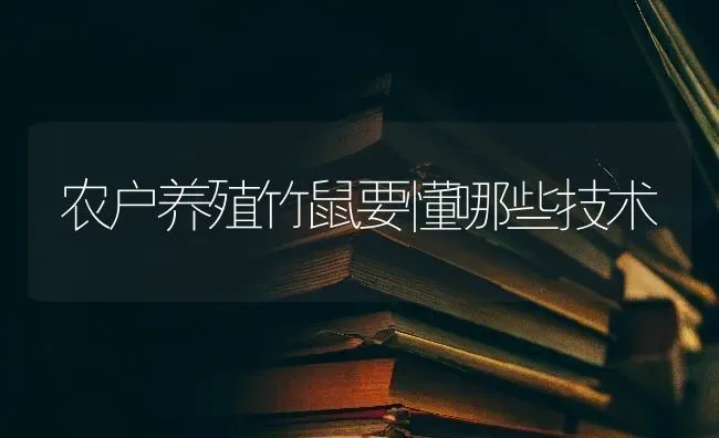 农户养殖竹鼠要懂哪些技术 | 养殖技术大全