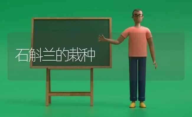 石斛兰的栽种 | 养殖技术大全