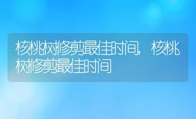 核桃树修剪最佳时间,核桃树修剪最佳时间 | 养殖科普