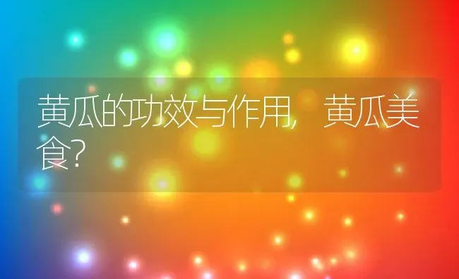 黄瓜的功效与作用,黄瓜美食？ | 养殖科普