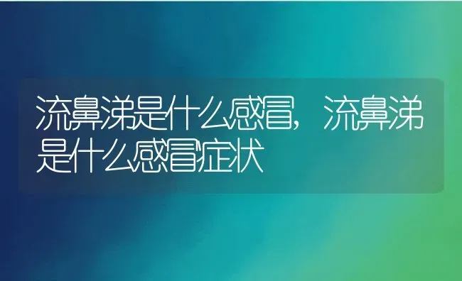 流鼻涕是什么感冒,流鼻涕是什么感冒症状 | 养殖资料