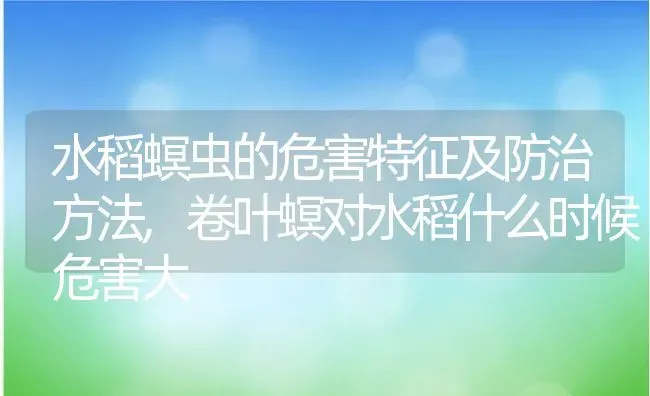 水稻螟虫的危害特征及防治方法,卷叶螟对水稻什么时候危害大 | 养殖学堂