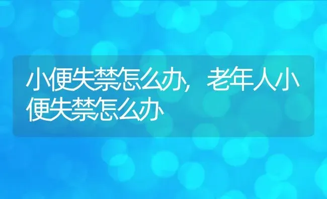 小便失禁怎么办,老年人小便失禁怎么办 | 养殖学堂