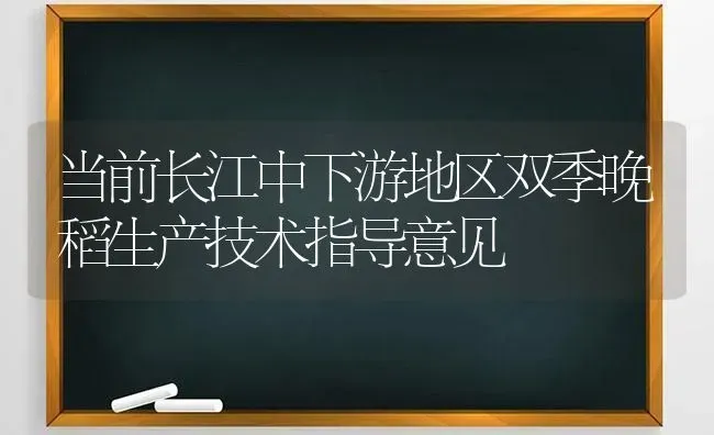 当前长江中下游地区双季晚稻生产技术指导意见 | 养殖知识