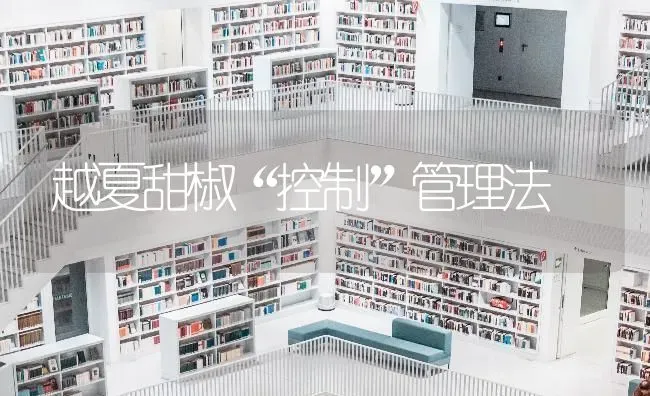 越夏甜椒“控制”管理法 | 养殖知识