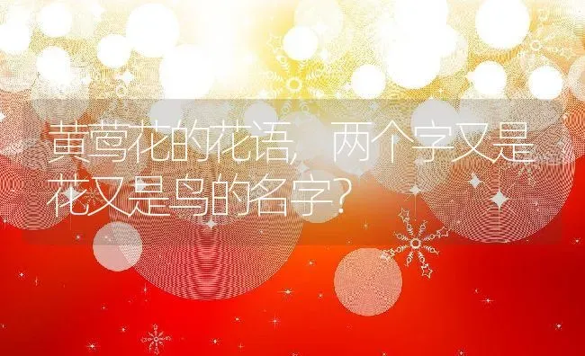 黄莺花的花语,两个字又是花又是鸟的名字？ | 养殖科普