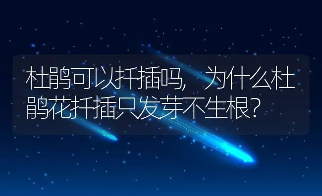 杜鹃可以扦插吗,为什么杜鹃花扦插只发芽不生根？ | 养殖科普