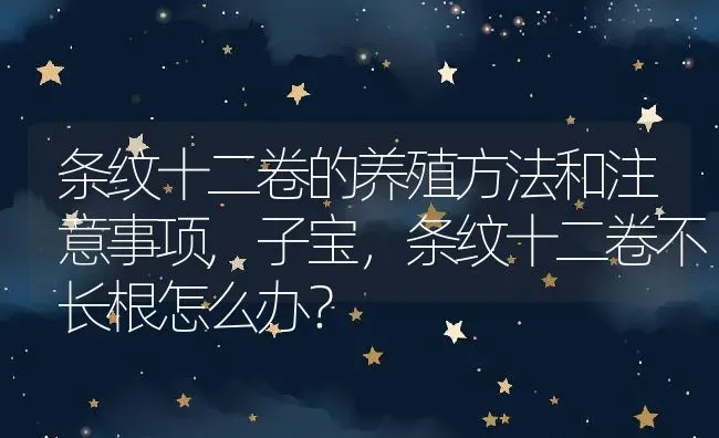 金钱树盆栽好养吗,金枝玉叶和金钱木哪个好养？ | 养殖科普