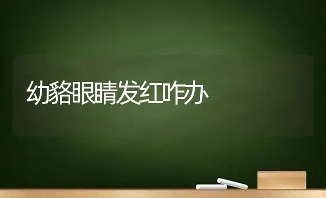 幼貉眼睛发红咋办 | 养殖知识