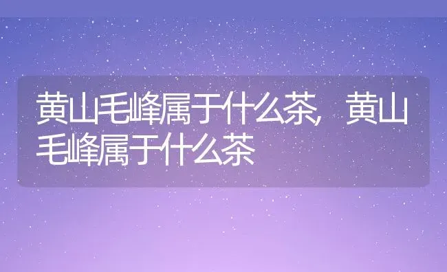 黄山毛峰属于什么茶,黄山毛峰属于什么茶 | 养殖科普