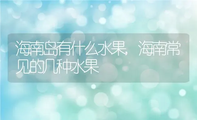 海南岛有什么水果,海南常见的几种水果 | 养殖学堂