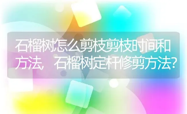 石榴树怎么剪枝剪枝时间和方法,石榴树定杆修剪方法？ | 养殖科普