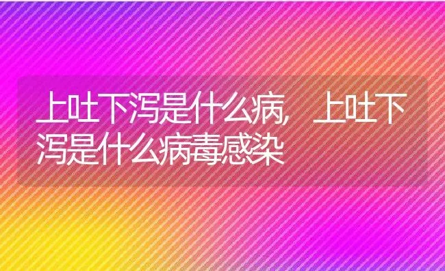 上吐下泻是什么病,上吐下泻是什么病毒感染 | 养殖科普