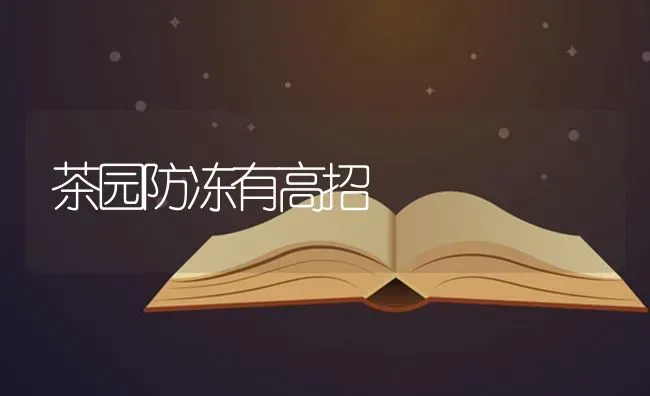 茶园防冻有高招 | 养殖技术大全