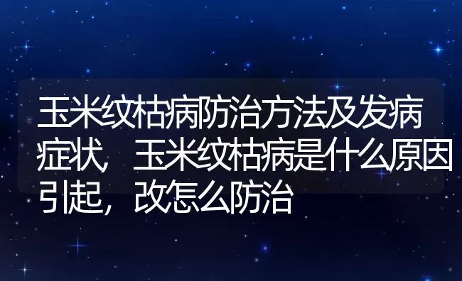 玉米纹枯病防治方法及发病症状,玉米纹枯病是什么原因引起，改怎么防治 | 养殖学堂