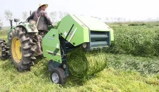 畜牧类文稿编辑加工应把握的几个要点 | 农广天地