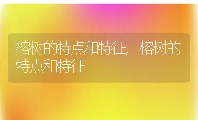 榕树的特点和特征,榕树的特点和特征 | 养殖科普