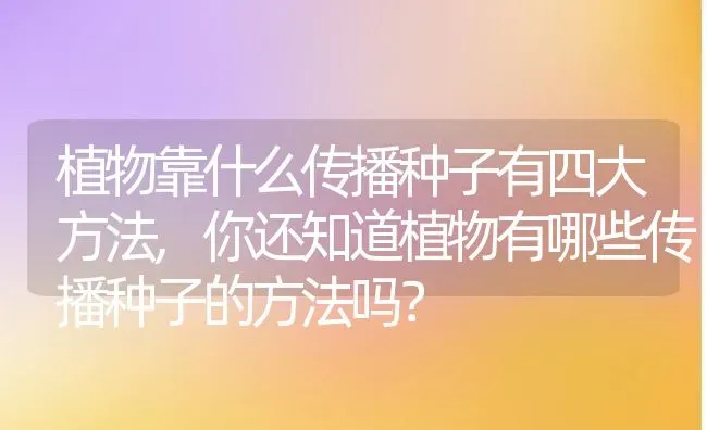 植物靠什么传播种子有四大方法,你还知道植物有哪些传播种子的方法吗？ | 养殖科普