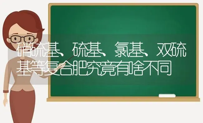 硝硫基、硫基、氯基、双硫基等复合肥究竟有啥不同 | 养殖技术大全