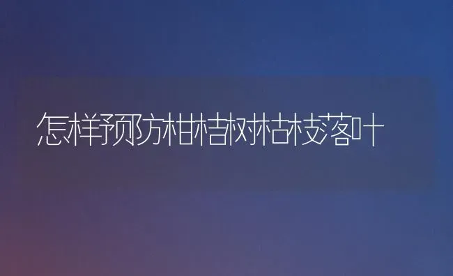 怎样预防柑桔树枯枝落叶 | 养殖技术大全