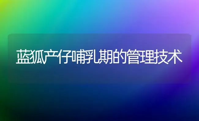 蓝狐产仔哺乳期的管理技术 | 养殖技术大全