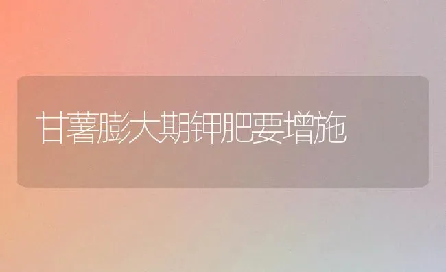 甘薯膨大期钾肥要增施 | 养殖技术大全