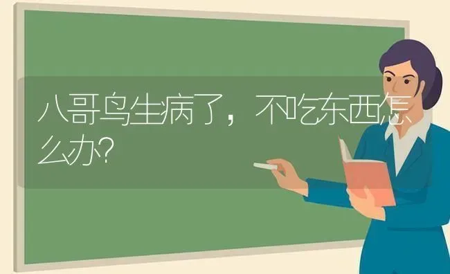 八哥鸟生病了,不吃东西怎么办? | 养殖技术大全