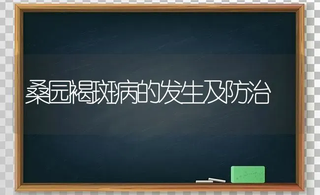 桑园褐斑病的发生及防治 | 养殖知识