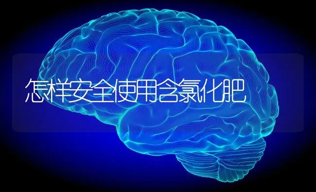 怎样安全使用含氯化肥 | 养殖技术大全