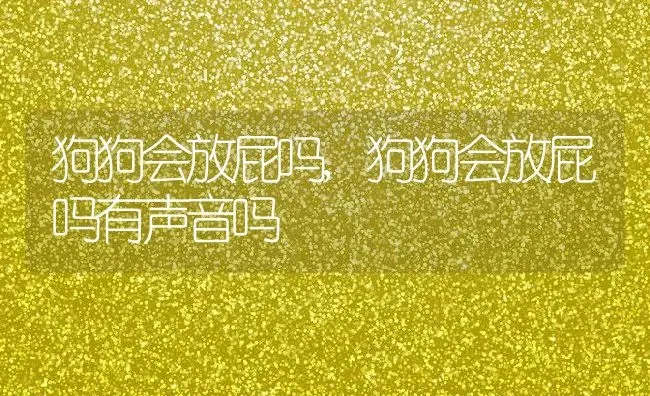 狗狗会放屁吗,狗狗会放屁吗有声音吗 | 养殖科普