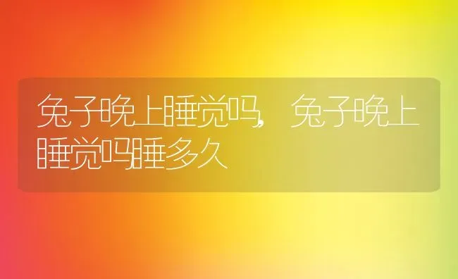 兔子晚上睡觉吗,兔子晚上睡觉吗睡多久 | 养殖科普