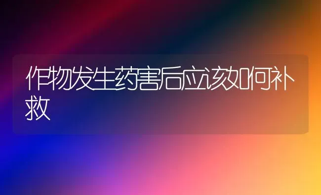 作物发生药害后应该如何补救 | 养殖技术大全