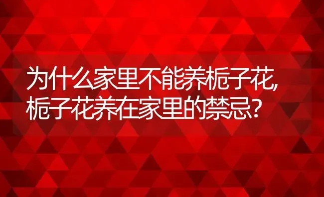 为什么家里不能养栀子花,栀子花养在家里的禁忌？ | 养殖学堂