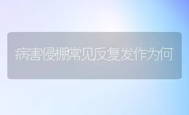 病害侵棚常见反复发作为何 | 养殖技术大全